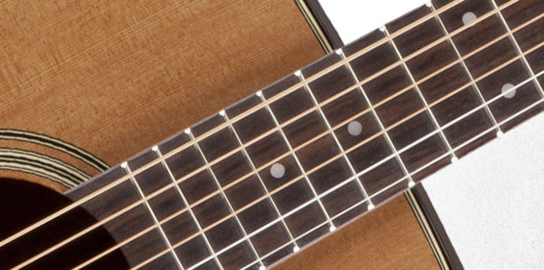 Takamine P1M Pro Series OM style Solid Cedar Top