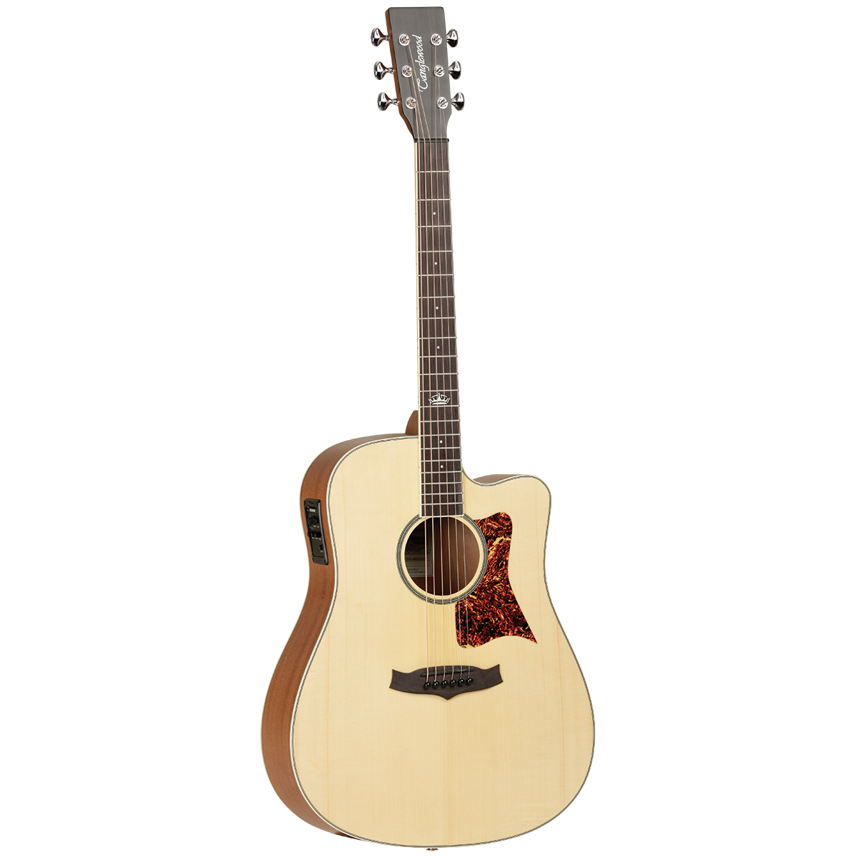 Tanglewood TP5-SE El/Ac Dred