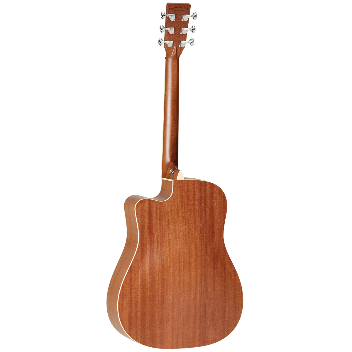 Tanglewood TP5-SE El/Ac Dred