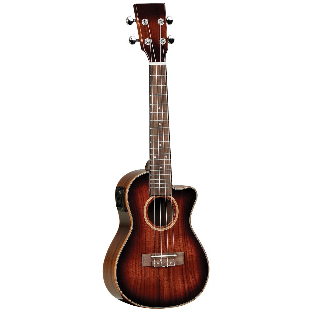 Tanglewood TUJ6CE Concert Ukulele