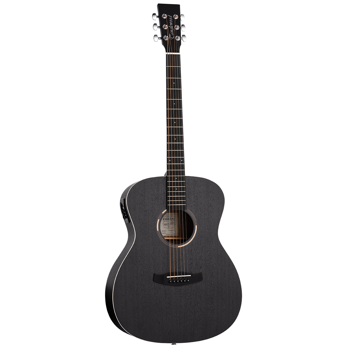 Tanglewood TWBBOE Blackbird Orchestra A/E
