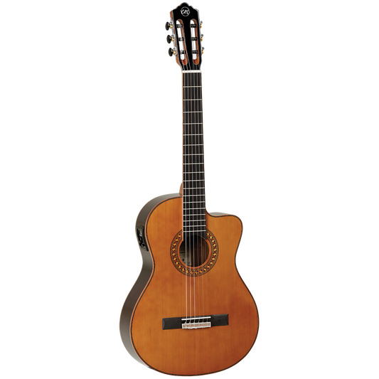 Tanglewood TWEMDC5 Classic with Cutaway
