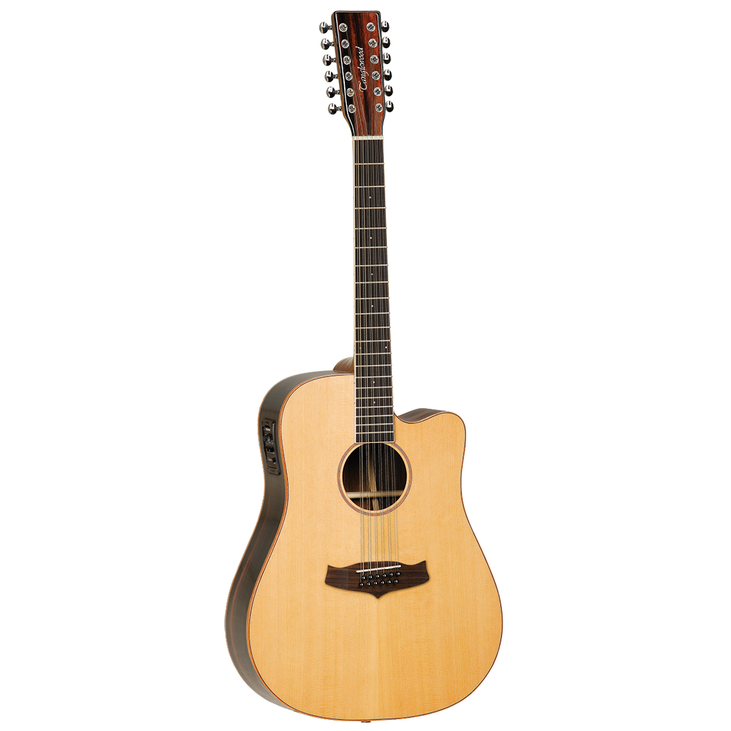 Tanglewood TWJDCE-12 El/Ac 12 St Java