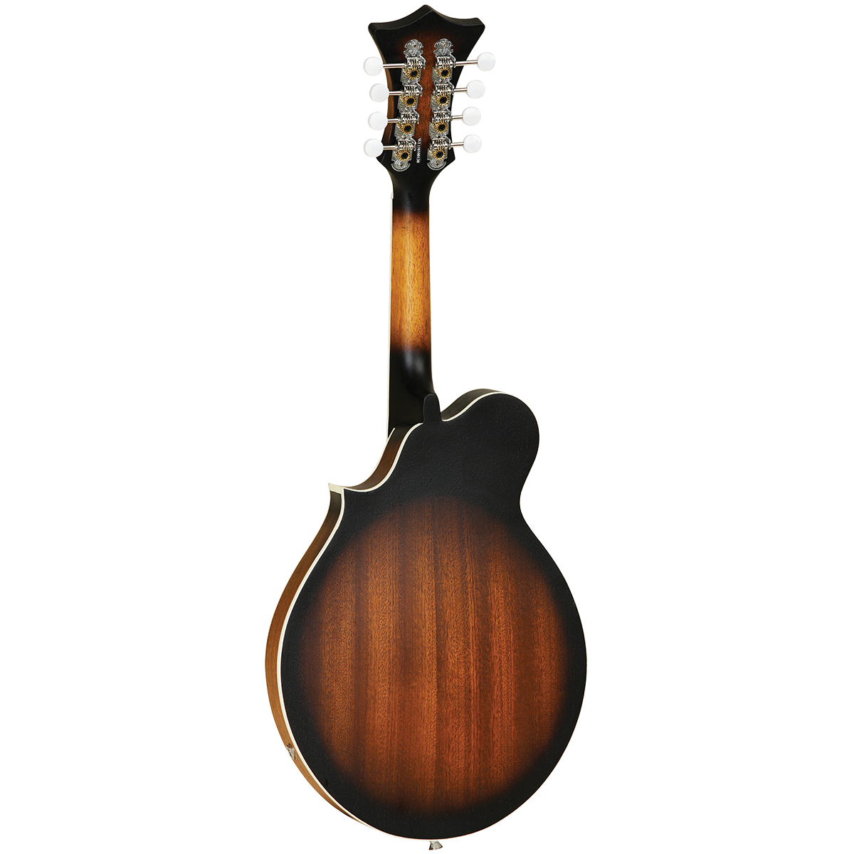 Tanglewood MFVSE Mandolin
