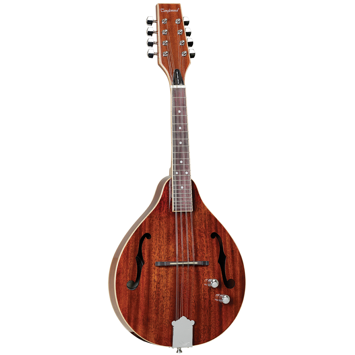 Tanglewood TWTMTMHSTE Mandolin Solid top
