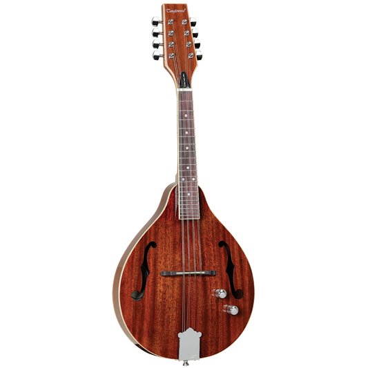 Tanglewood TWTMTMHSTE Mandolin Solid top