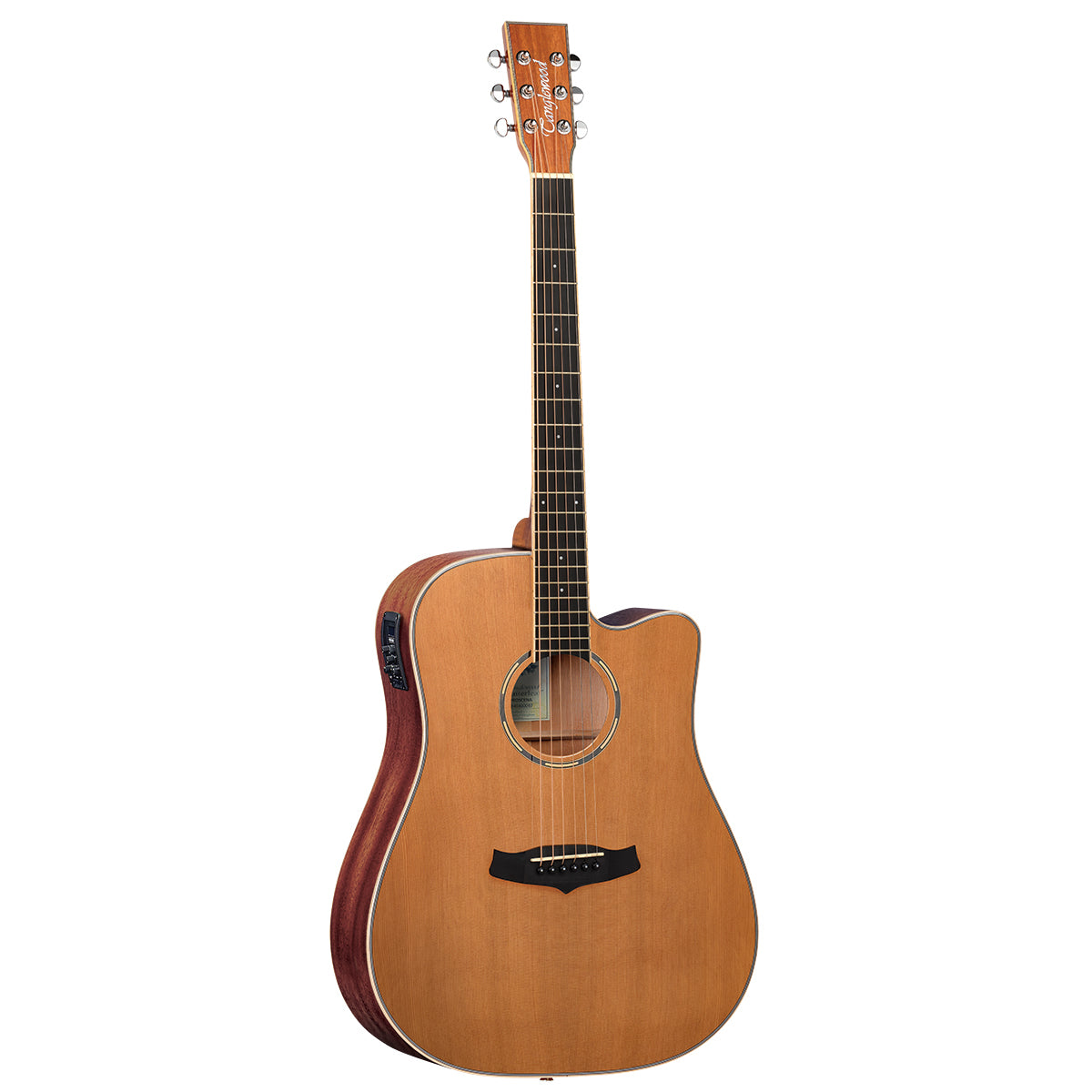 Tanglewood TW10 Ac/El