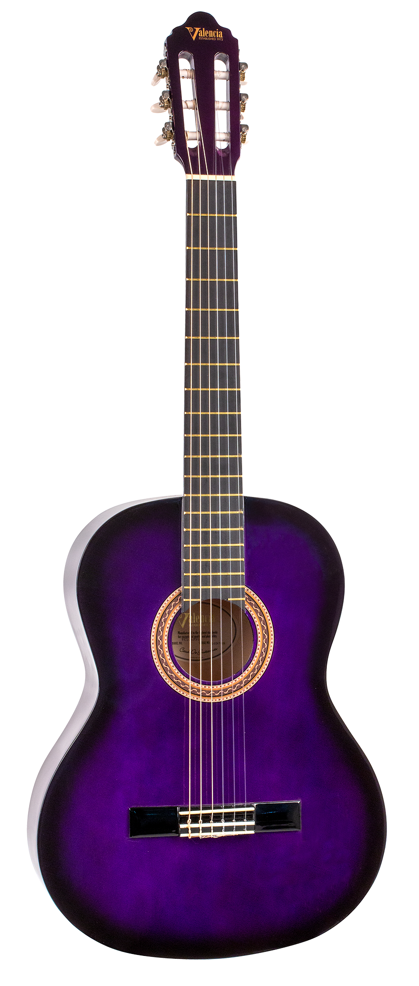 Valencia Classical Guitar - Various Sizes