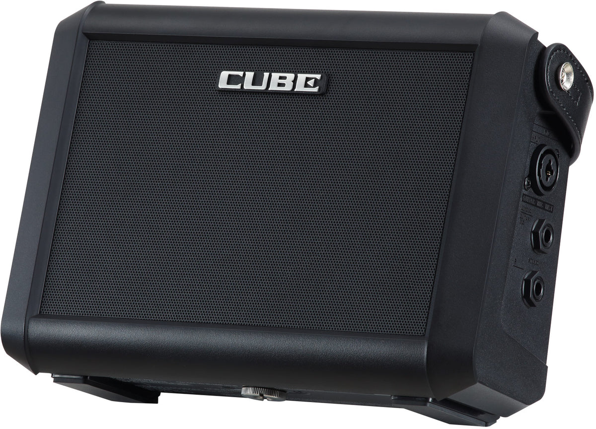 Roland Cube ST-MI Battery Stereo Amp