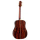 Takamine FN15-AR Limited Series Dreadnought AC/EL