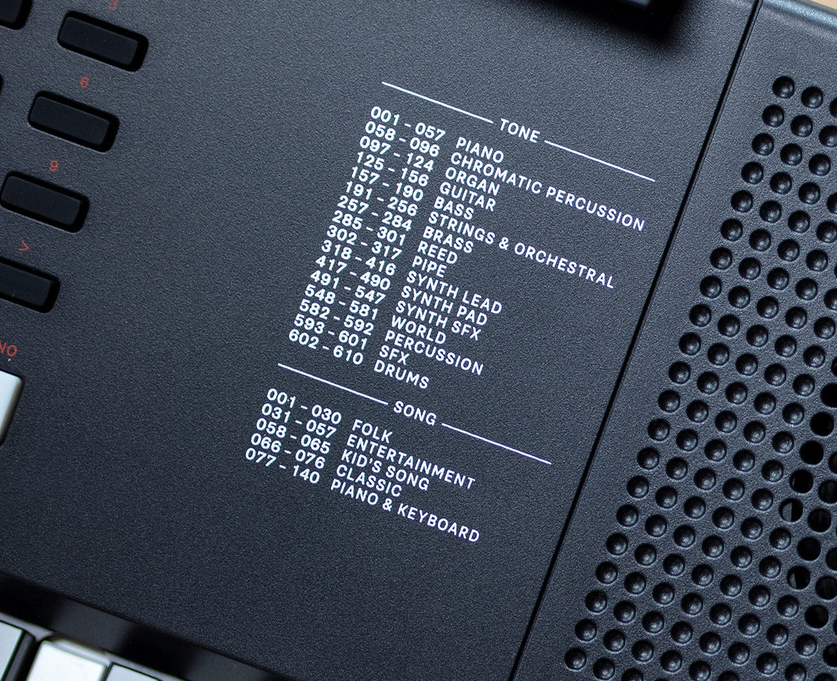 Roland E-X10 Portable Keyboard