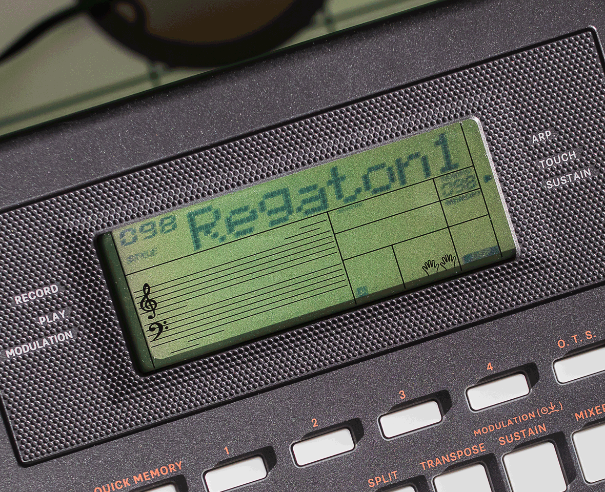 Roland E-X10 Portable Keyboard