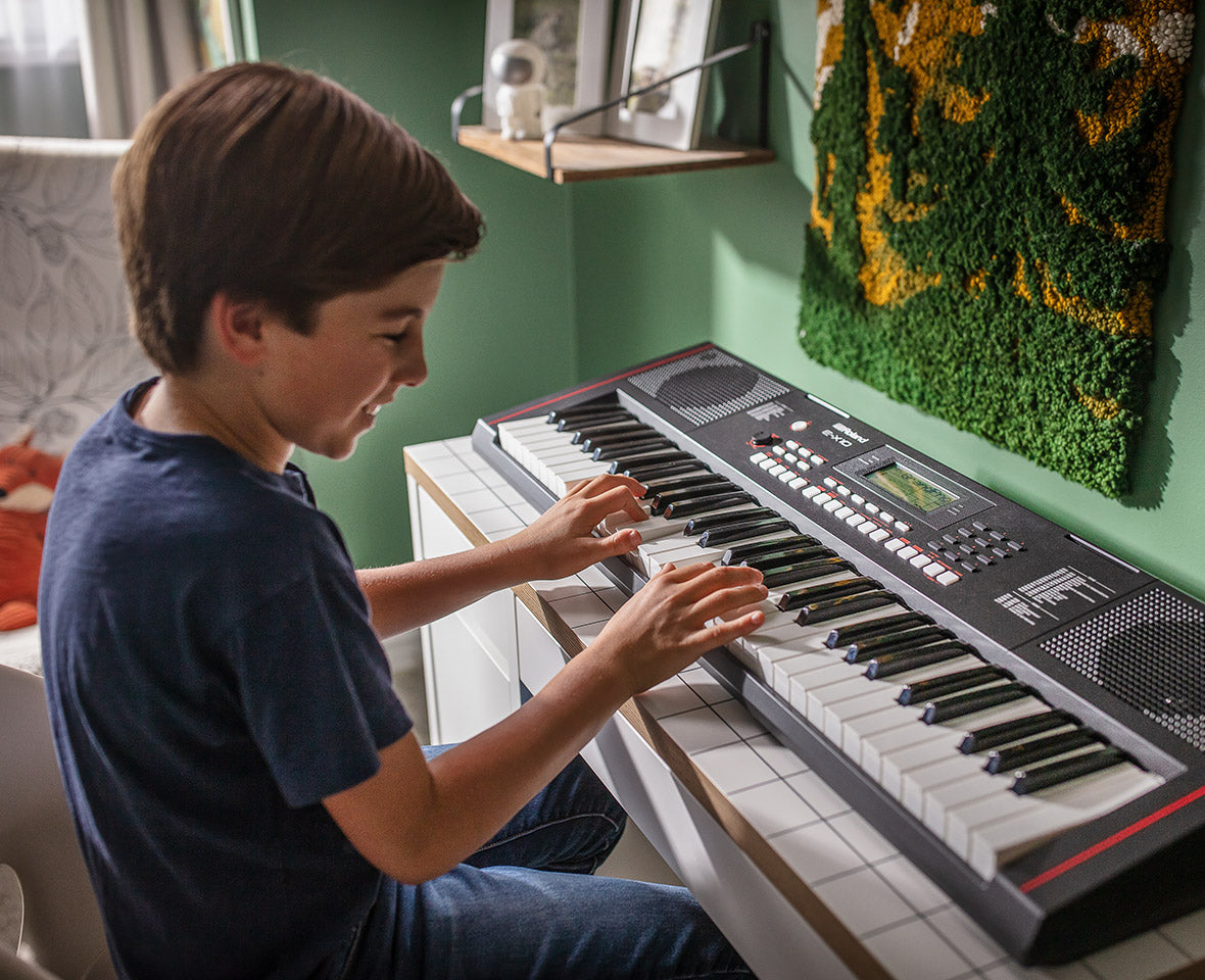 Roland E-X10 Portable Keyboard