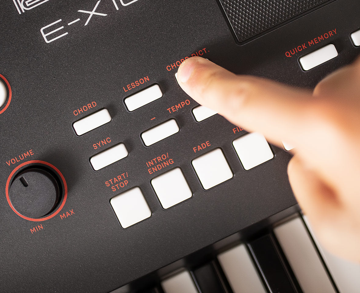 Roland E-X10 Portable Keyboard