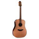 Takamine FN15-AR Limited Series Dreadnought AC/EL