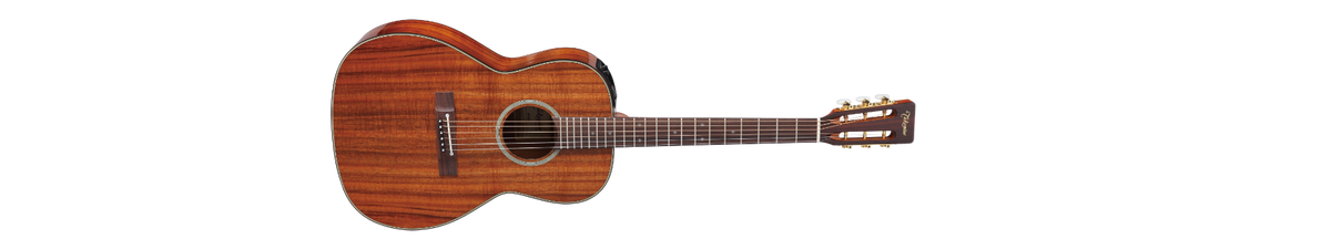 Takamine EF407 electric acoustic,
