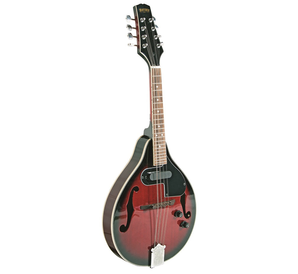 Bryden Elec/Ac Mandolin