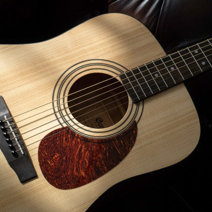 Cort Earth Acoustic Package