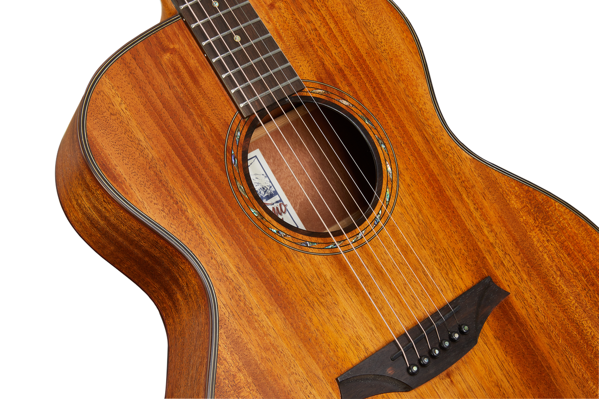 Bromo BAT2M GA Guitar