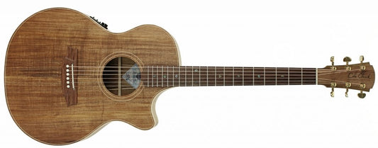Cole Clark TL2EC Thin Line All Blackwood